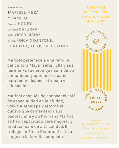 CHIAPAS - MARIBEL MEZA