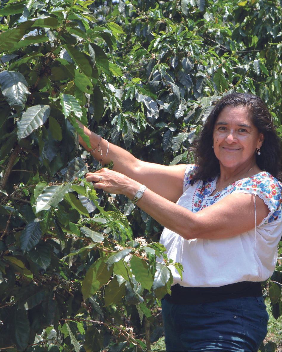 PUEBLA - BEATRIZ HERNÁNDEZ