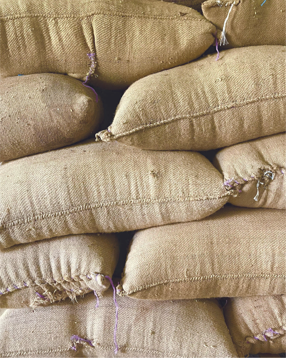 GEISHA - EVERARDO MARTINEZ