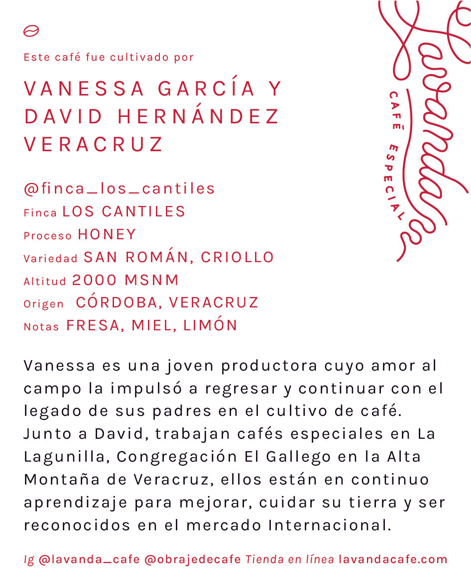 VERACRUZ - VANESSA Y DAVID