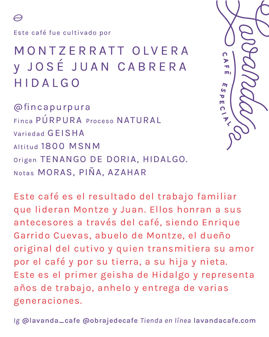 GEISHA - MONTZE Y JUAN