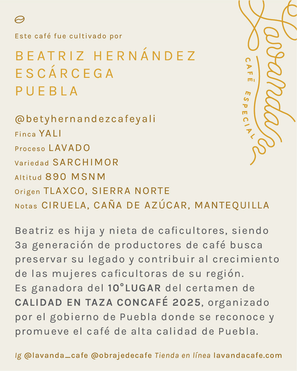 PUEBLA - BEATRIZ HERNÁNDEZ