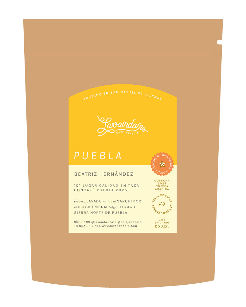 PUEBLA - BEATRIZ HERNÁNDEZ