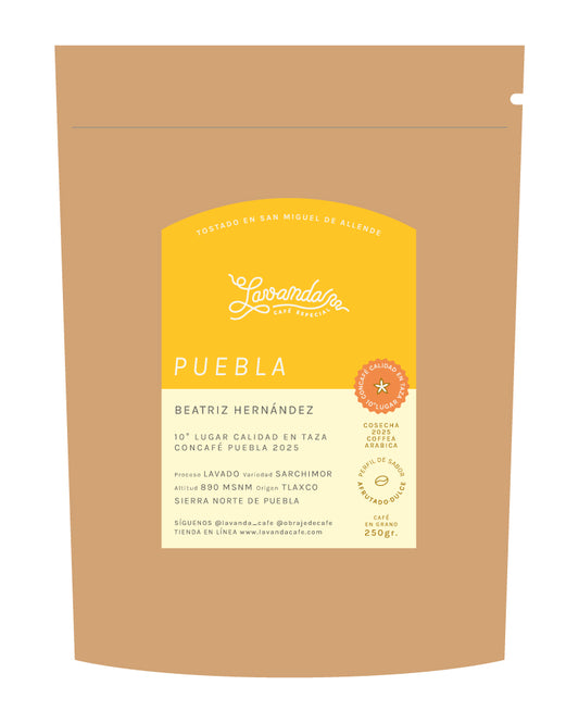 PUEBLA - BEATRIZ HERNÁNDEZ