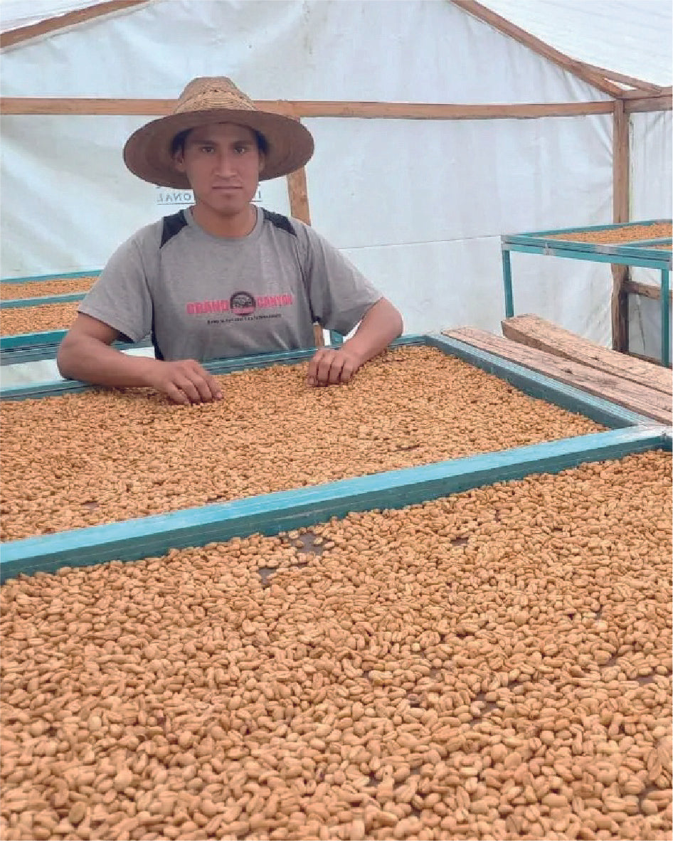 PUEBLA - BELIZARIO HERRERA