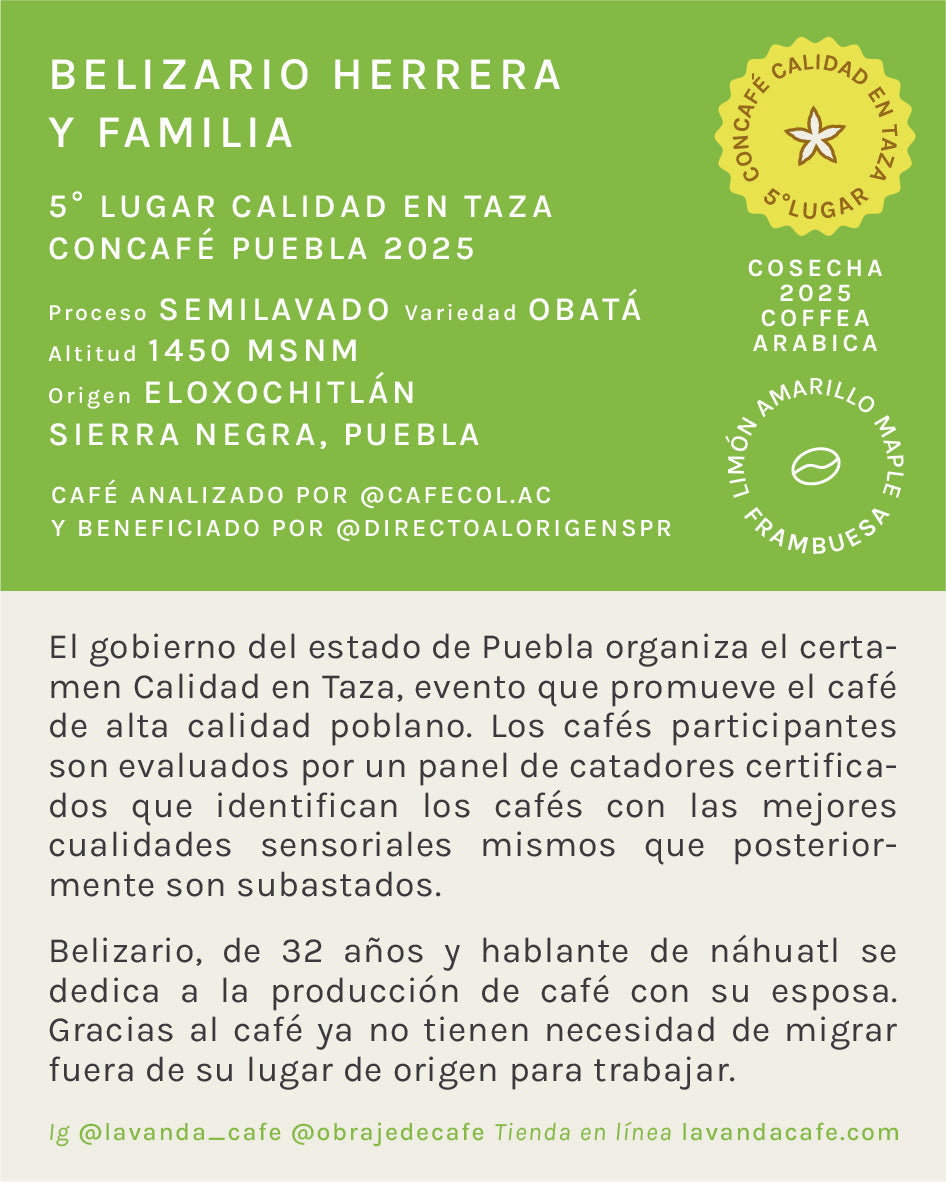 PUEBLA - BELIZARIO HERRERA