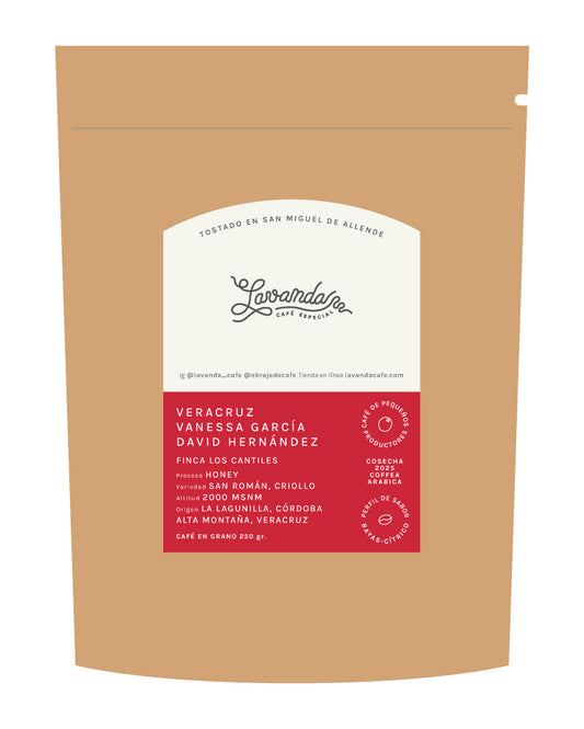 VERACRUZ - VANESSA Y DAVID