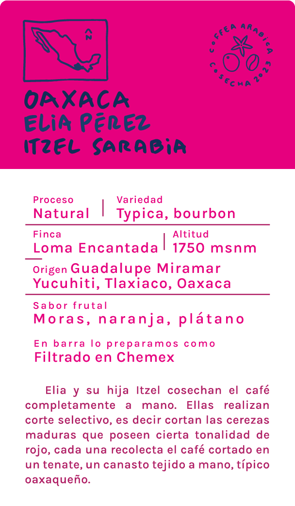 Oaxaca : Elia e Itzel