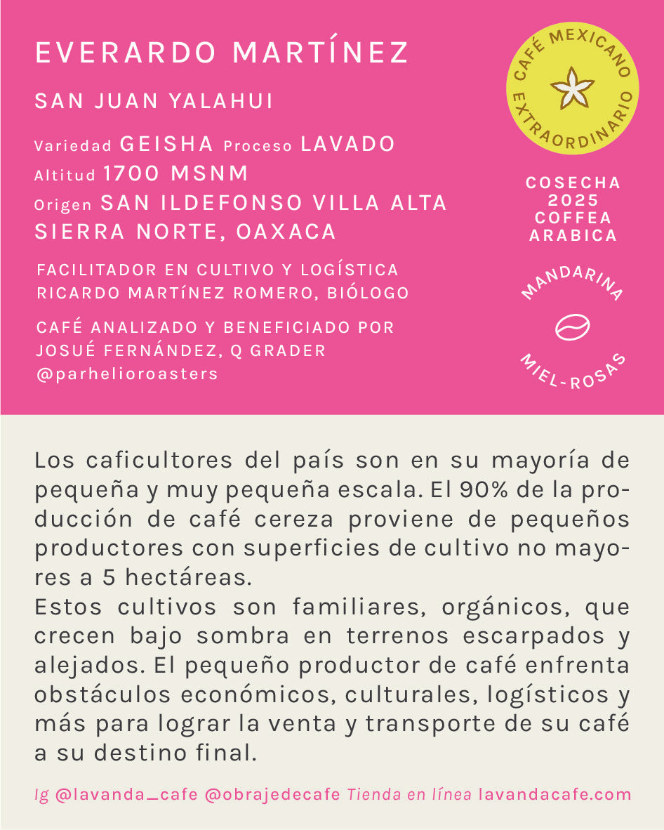 GEISHA - EVERARDO MARTINEZ