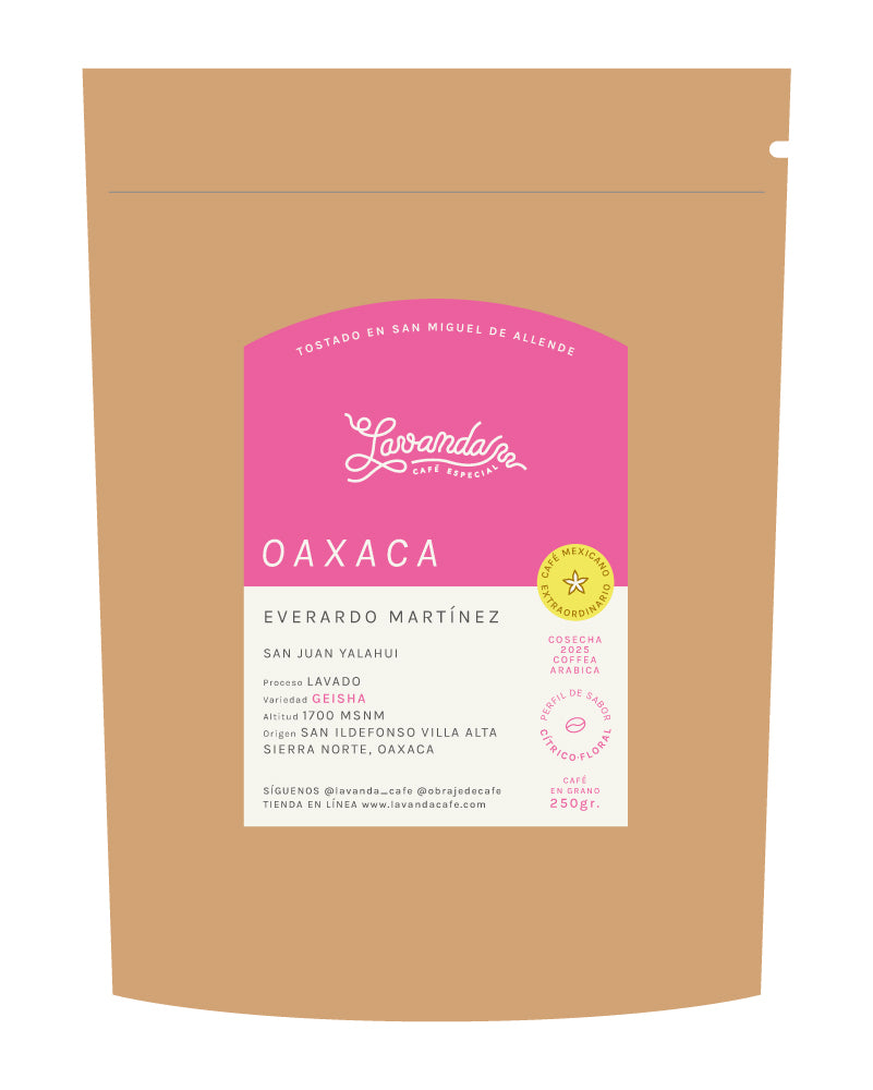 GEISHA - EVERARDO MARTINEZ