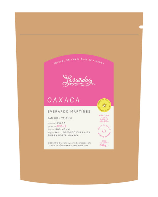 GEISHA - EVERARDO MARTINEZ