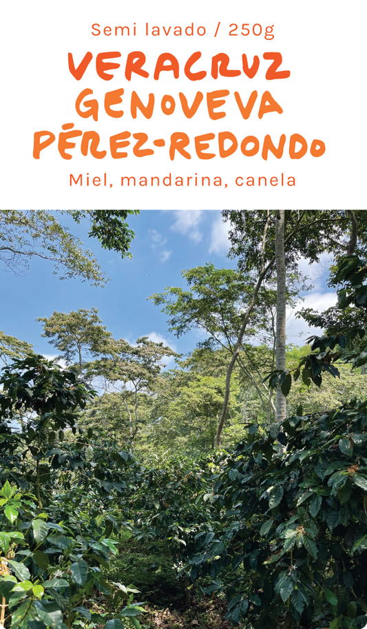 Veracruz : Genoveva Pérez-Redondo