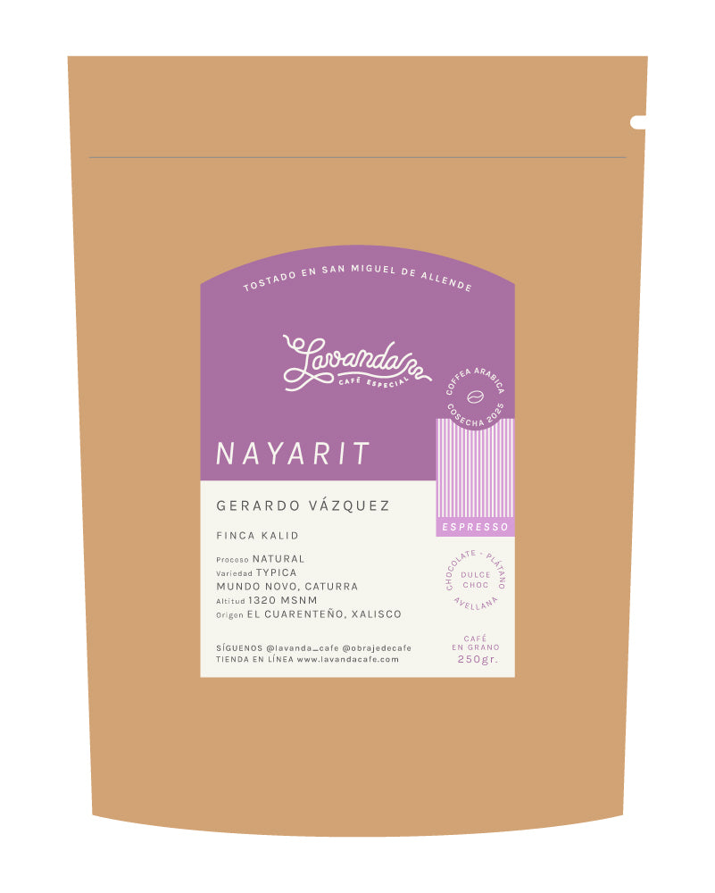 NAYARIT - GERARDO VÁZQUEZ
