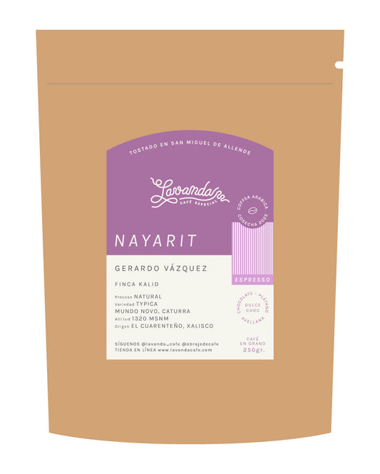 NAYARIT - GERARDO VÁZQUEZ