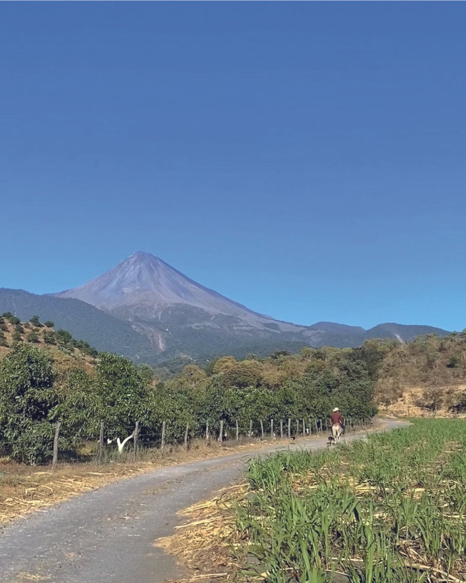 COLIMA - HUGO SALAZAR