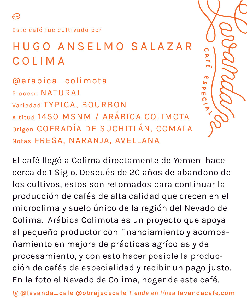 COLIMA - HUGO SALAZAR