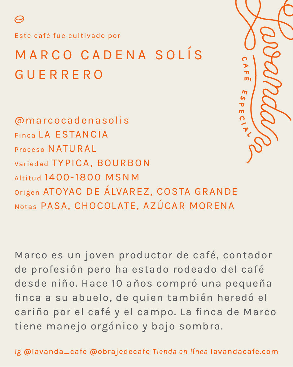 GUERRERO - MARCO CADENA