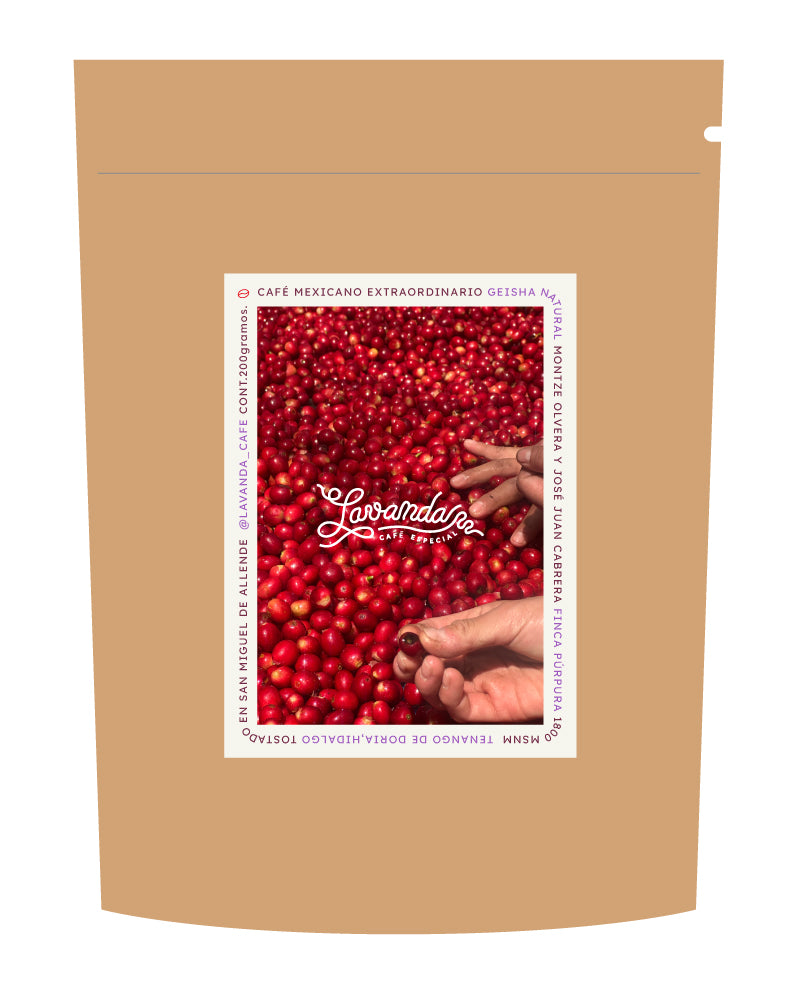 GEISHA - MONTZE Y JUAN