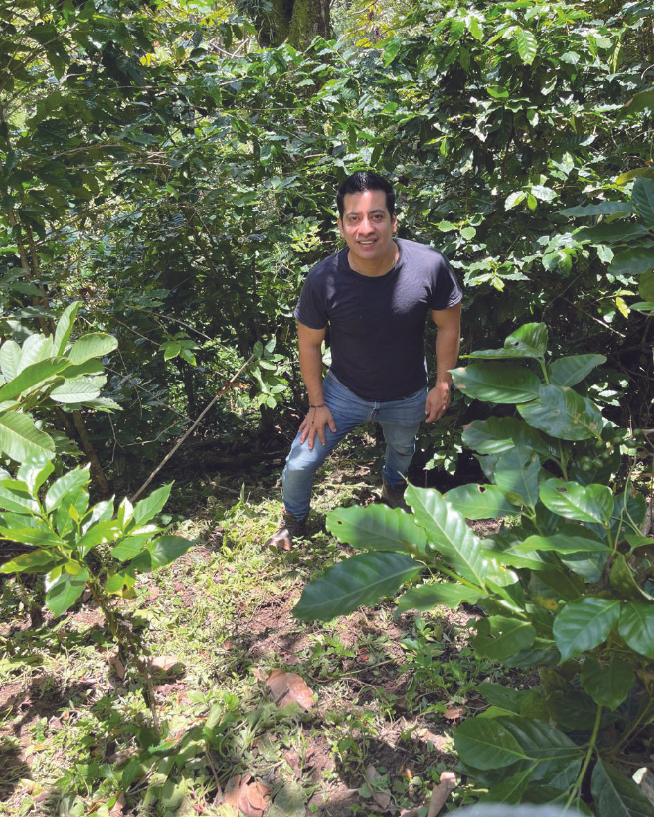 CHIAPAS - NERI ORTIZ