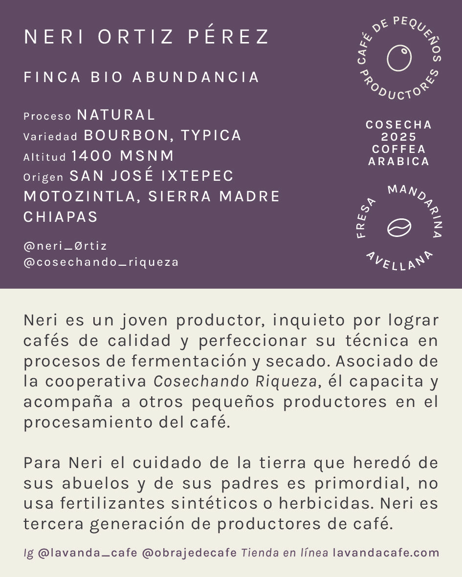 CHIAPAS - NERI ORTIZ